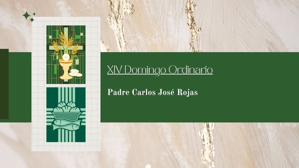 Homilía - XIV Domingo Ordinario - Padre Carlos José Rojas