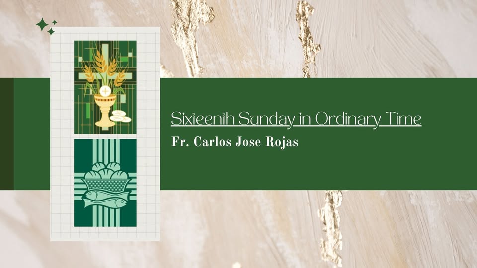 Homily - Sixteenth Sunday in Ordinary Time