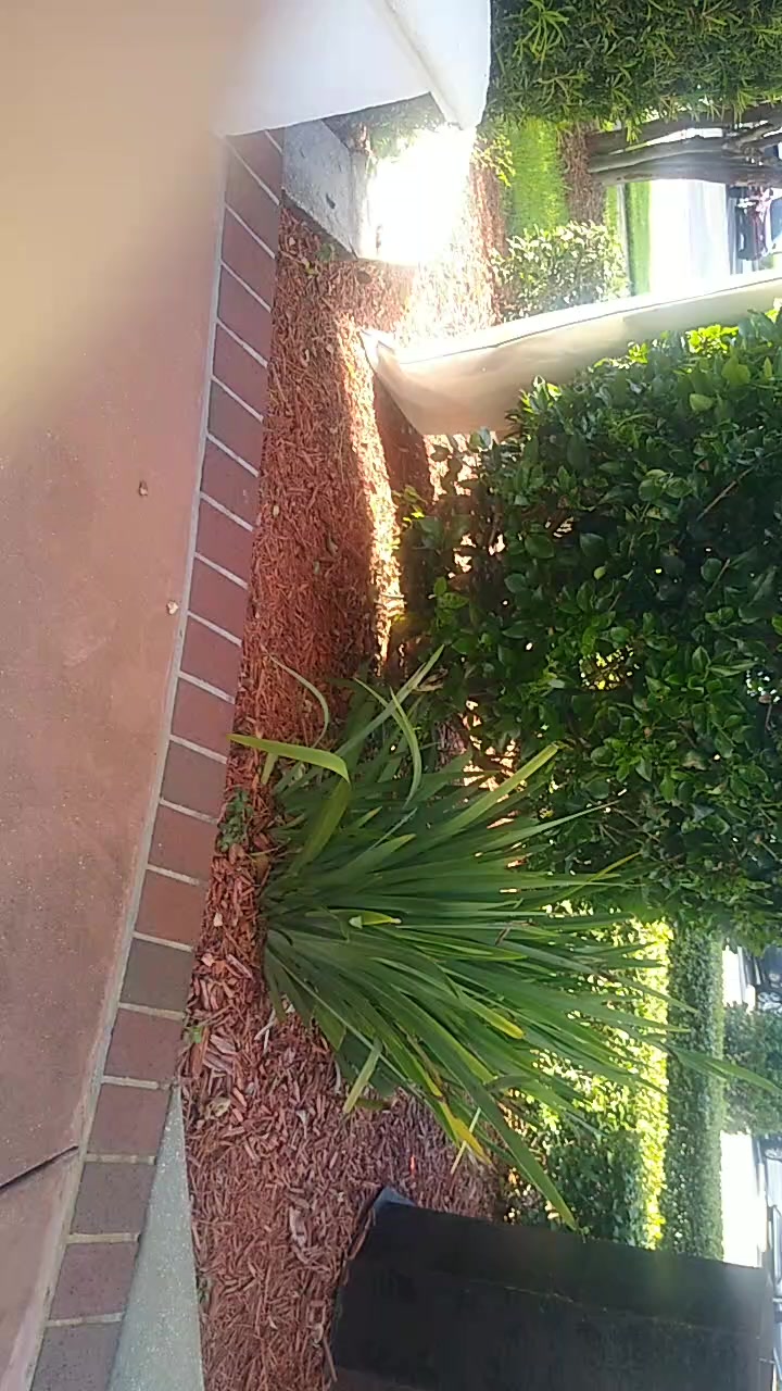 Schoenstatt Tampa Bay Update
