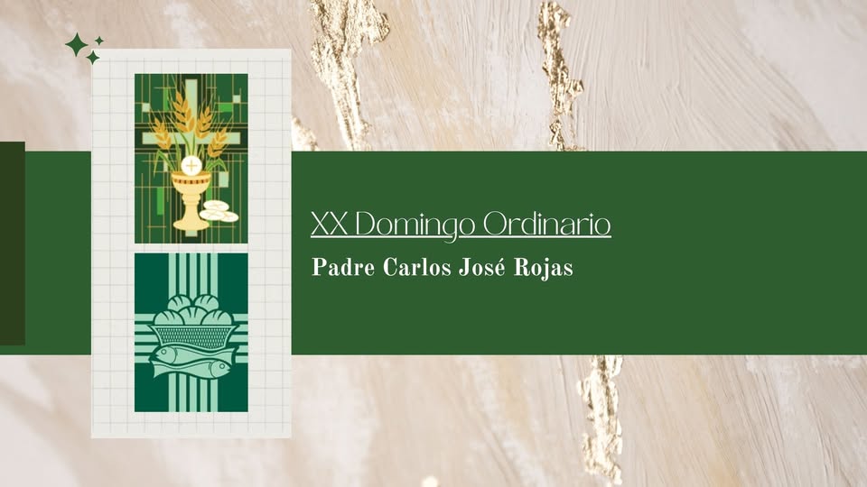 Homilia - XX Domingo Ordinario