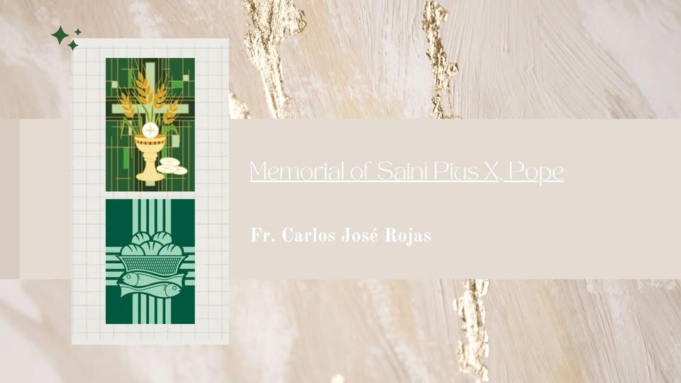 Homily - Memorial of Saint Pius X, Pope