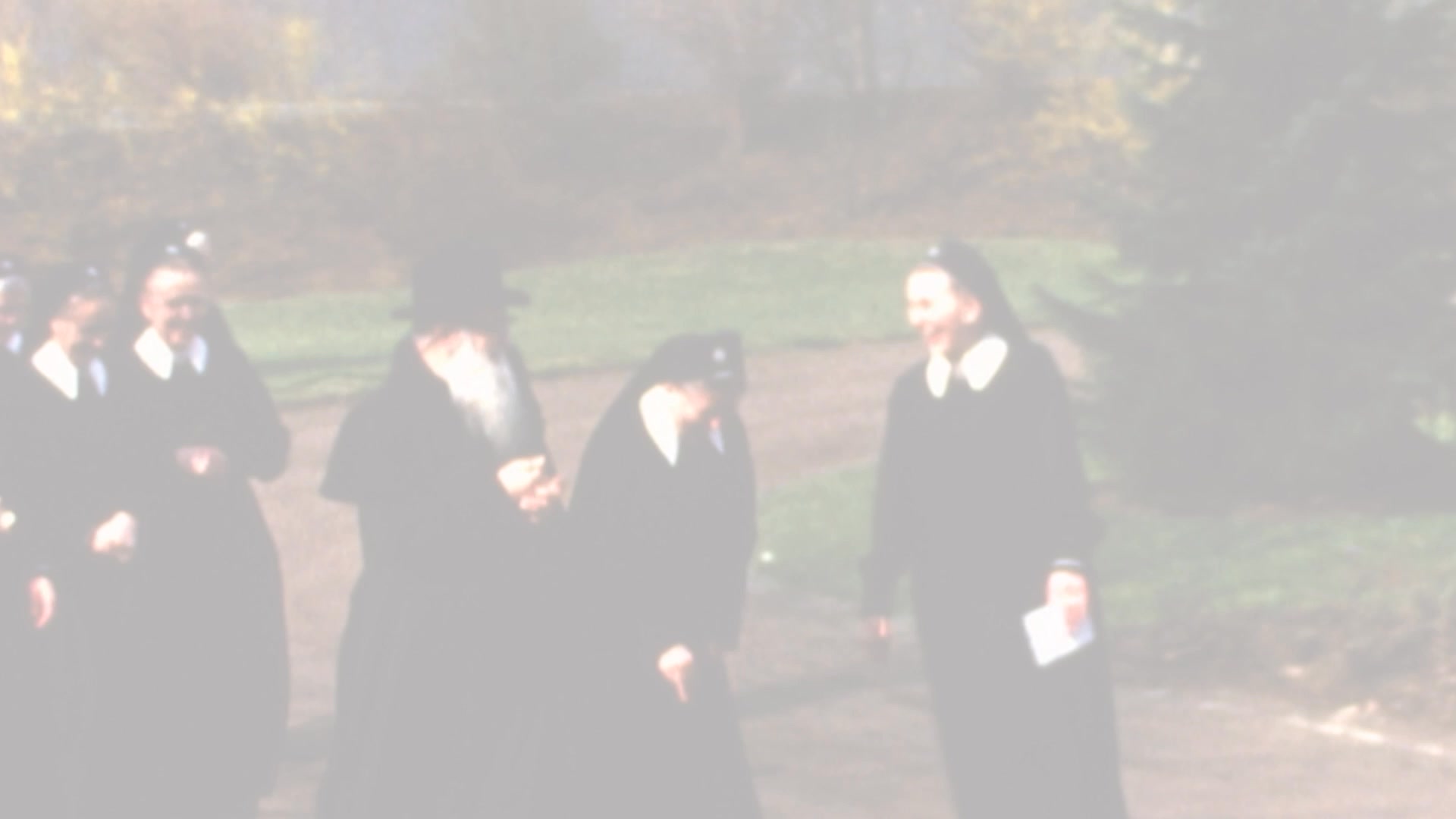 Last week we schoenstatt Sisters of Mary openend our 100th jubilee year. What we