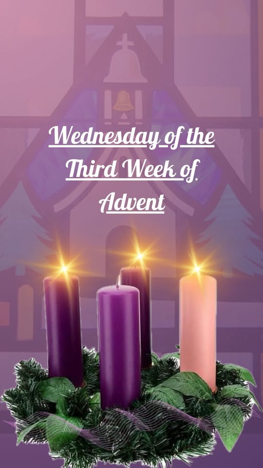 Homily - Wednesday of the Third Week of Advent