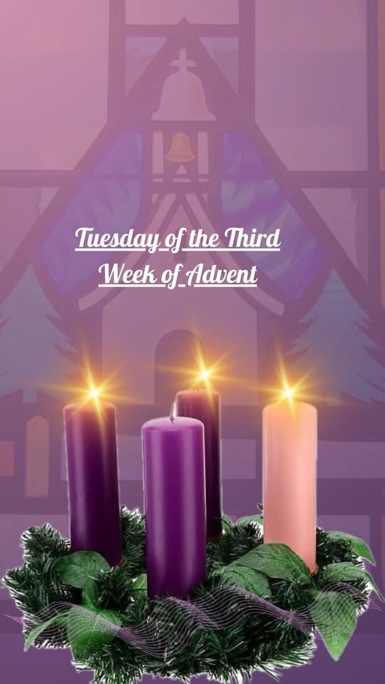 Tuesday of the Third Week of Advent