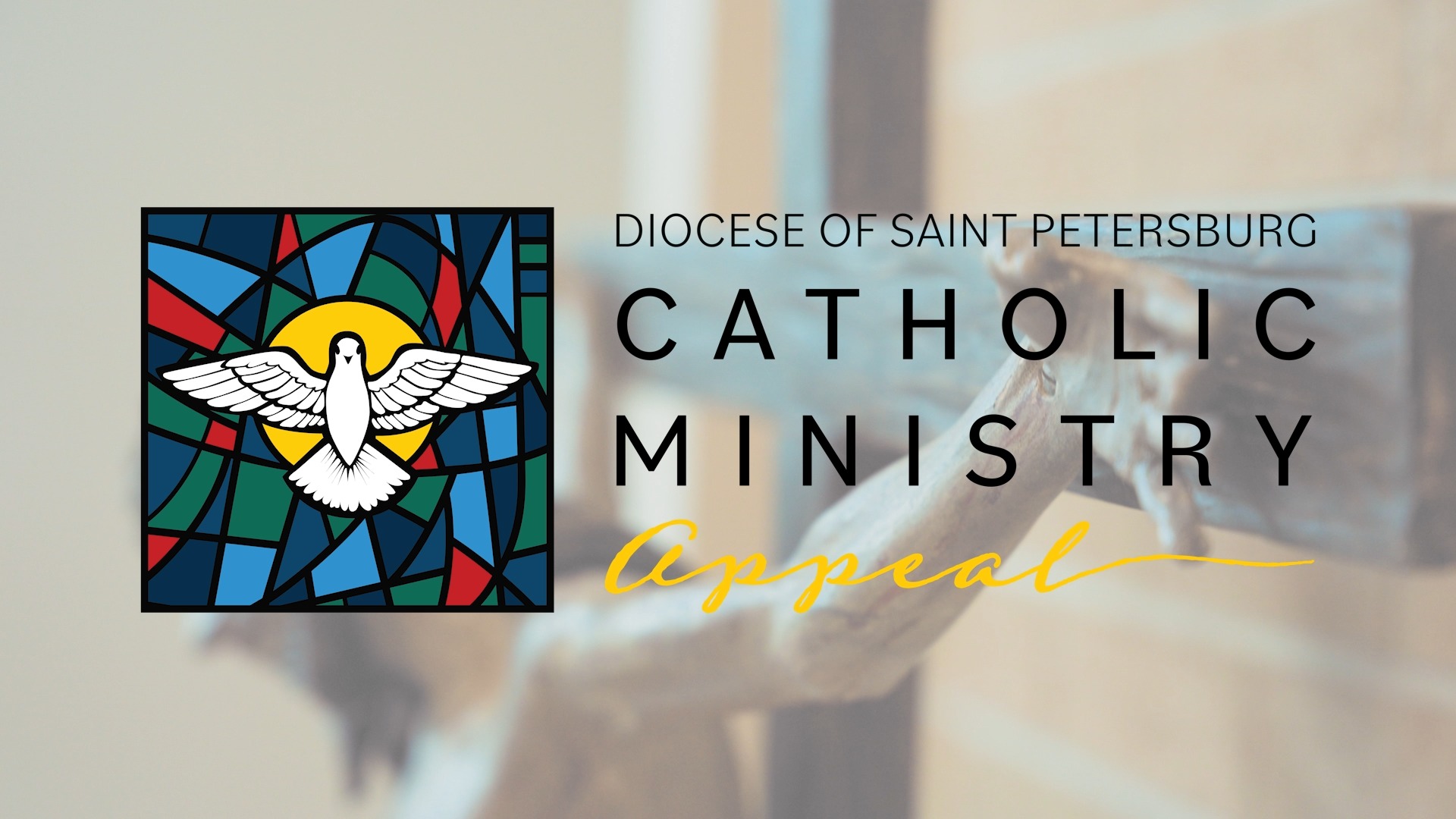 Every dollar donated to the Catholic Ministry Appeal directly funds our ministri