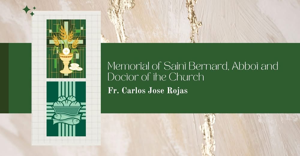 Homilía - Memorial de San Bernardo, abad y doctor de la Iglesia