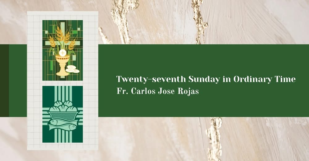 Twenty-sixth Sunday in Ordinary Time